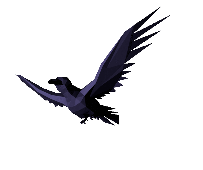 Flying bird animation